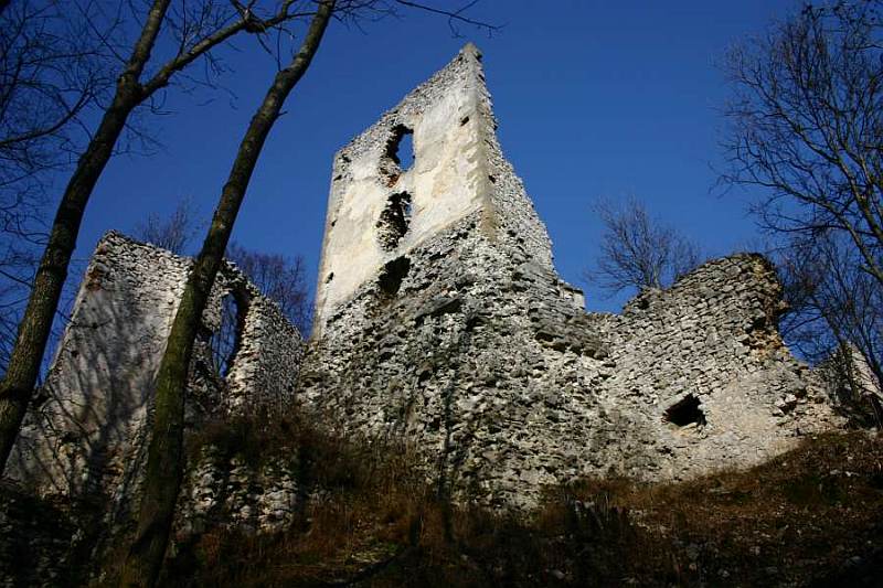 Carpathian Castle Ruins Tour, departing from Bratislava: by Authentic Slovakia