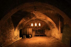 Wine tasting in a wine cellar"
