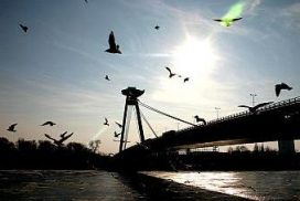 The SNP Bridge in Bratislava"